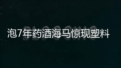 泡7年藥酒海馬驚現(xiàn)塑料成分，引發(fā)關(guān)注與探討
