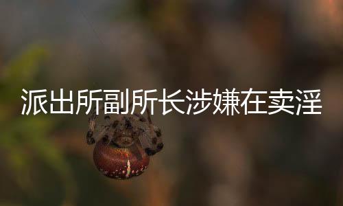 派出所副所長涉嫌在賣淫案中徇私舞弊，引發(fā)社會關(guān)注