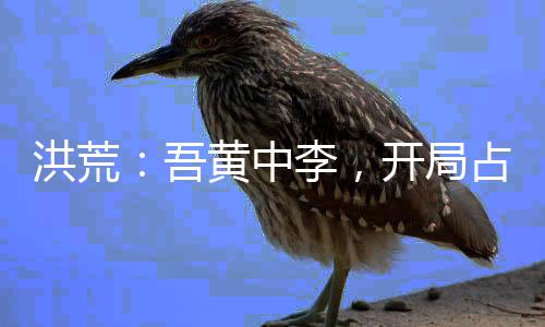 洪荒：吾黃中李，開局占據(jù)蓬萊島