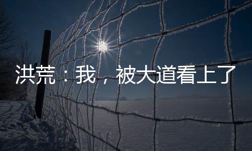 洪荒：我，被大道看上了