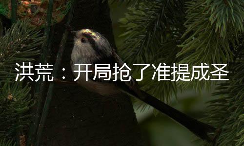 洪荒：開(kāi)局搶了準(zhǔn)提成圣蒲團(tuán)！