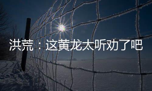 洪荒：這黃龍?zhí)?tīng)勸了吧？