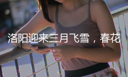 洛陽迎來三月飛雪，春花遇雪，古都綻放新魅力