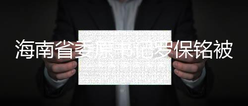海南省委原書記羅保銘被決定逮捕