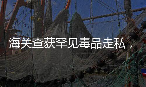 海關(guān)查獲罕見毒品走私，秘密運(yùn)送之疑案揭秘