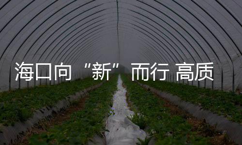 海口向“新”而行 高質(zhì)量發(fā)展積厚成勢