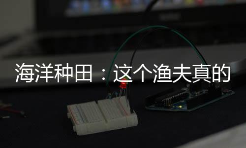 海洋種田：這個漁夫真的不合常理