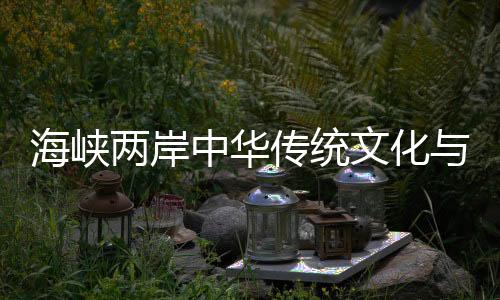 海峽兩岸中華傳統(tǒng)文化與現(xiàn)代文化融合交流活動在湖南啟幕