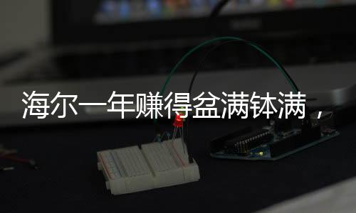 海爾一年賺得盆滿缽滿，成功背后的故事并非單一靠老板
