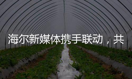 海爾新媒體攜手聯(lián)動，共同守護企業(yè)領(lǐng)袖