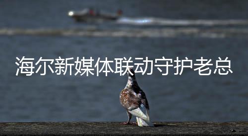 海爾新媒體聯(lián)動守護(hù)老總，塑造品牌形象與企業(yè)文化的新篇章