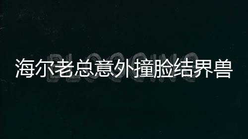 海爾老總意外撞臉結(jié)界獸，網(wǎng)友熱議背后的故事