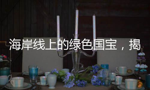 海岸線上的綠色國寶，揭示自然與文化的雙重寶藏