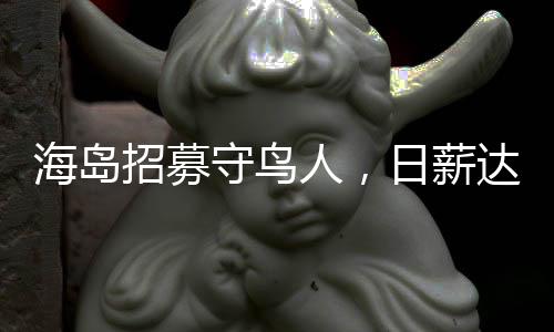海島招募守鳥人，日薪達(dá)三百的獨(dú)特故事
