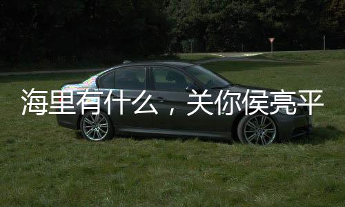 海里有什么，關(guān)你侯亮平屁事！