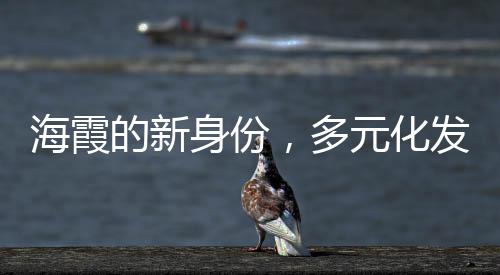 海霞的新身份，多元化發(fā)展的典范