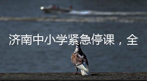 濟(jì)南中小學(xué)緊急停課，全市師生的安全與未來(lái)教育的新思考（一）