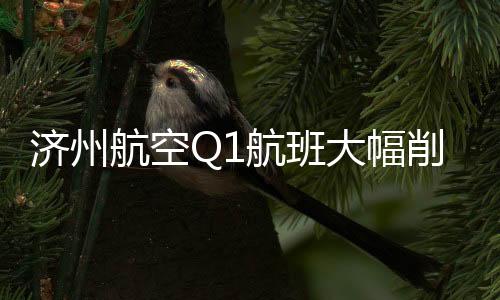 濟(jì)州航空Q1航班大幅削減近1900架次，未來展望待觀察
