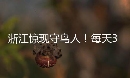 浙江驚現(xiàn)守鳥人！每天300元在海島??！環(huán)境優(yōu)雅有網(wǎng)絡(luò)覆蓋！神秘職業(yè)引人關(guān)注！