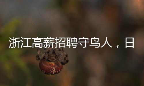 浙江高薪招聘守鳥人，日薪高達(dá)300元，需在海島居住四個(gè)月