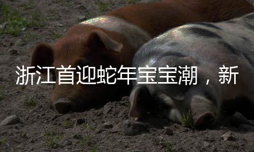 浙江首迎蛇年寶寶潮，新生代的獨(dú)特魅力與期待