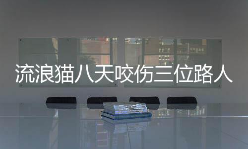 流浪貓八天咬傷三位路人，引發(fā)社會(huì)關(guān)注