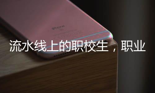 流水線(xiàn)上的職校生，職業(yè)教育在真實(shí)工作環(huán)境中的實(shí)踐與挑戰(zhàn)