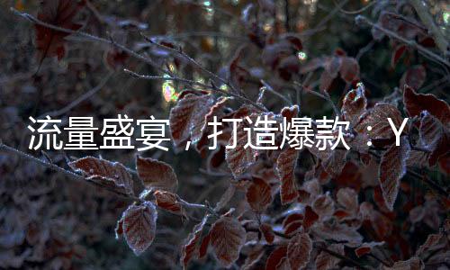 流量盛宴，打造爆款：Y3創(chuàng)作星秀計劃1月15日正式開啟