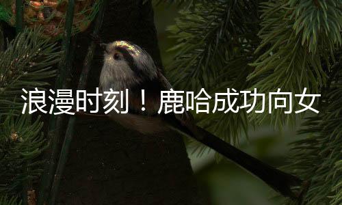 浪漫時刻！鹿哈成功向女友求婚成功