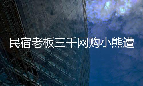 民宿老板三千網(wǎng)購小熊遭遇索賠風(fēng)波，真實(shí)事件剖析