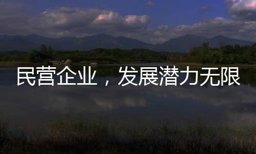 民營企業(yè)，發(fā)展?jié)摿o限，前景廣闊光明