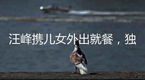 汪峰攜兒女外出就餐，獨(dú)缺女友身影引關(guān)注——溫馨家庭時(shí)刻見(jiàn)證父愛(ài)如山