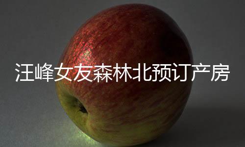 汪峰女友森林北預(yù)訂產(chǎn)房，引發(fā)各界熱議