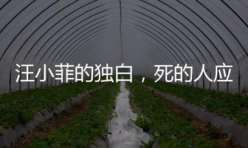 汪小菲的獨白，死的人應(yīng)該是我