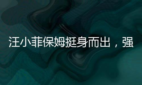 汪小菲保姆挺身而出，強(qiáng)勢(shì)維護(hù)大S，狂懟黑粉