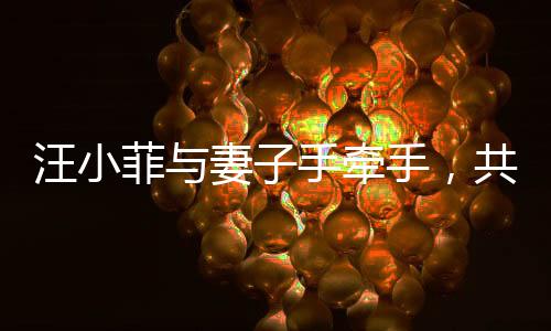 汪小菲與妻子手牽手，共同走出陰霾