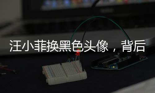 汪小菲換黑色頭像，背后有何深意？