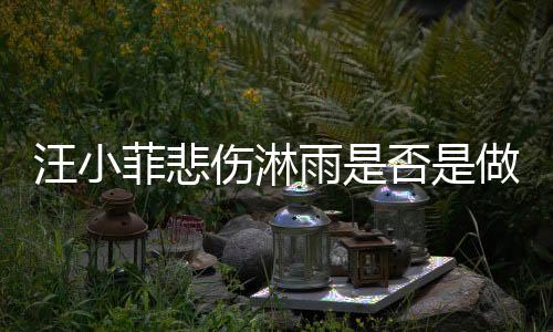 汪小菲悲傷淋雨是否是做戲？三方抨擊引發(fā)爭議