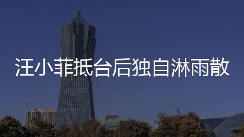 汪小菲抵臺后獨(dú)自淋雨散步，深夜情感流露引人關(guān)注