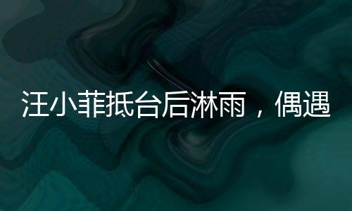 汪小菲抵臺(tái)后淋雨，偶遇天氣不佳，展現(xiàn)堅(jiān)韌精神