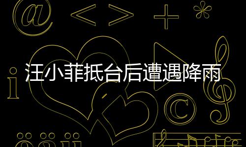 汪小菲抵臺后遭遇降雨