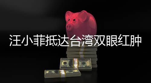 汪小菲抵達(dá)臺(tái)灣雙眼紅腫，引發(fā)關(guān)注熱潮