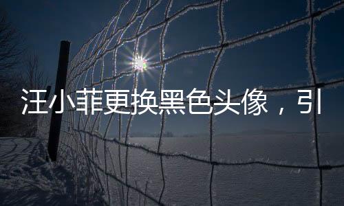 汪小菲更換黑色頭像，引發(fā)網(wǎng)友熱議