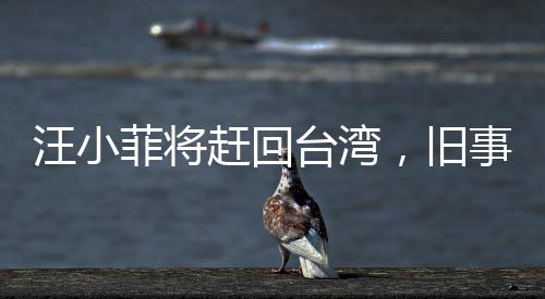汪小菲將趕回臺灣，舊事重現(xiàn)，矚目熱點新聞揭秘