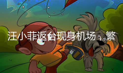 汪小菲返臺現(xiàn)身機場，繁忙行程中的溫馨歸途