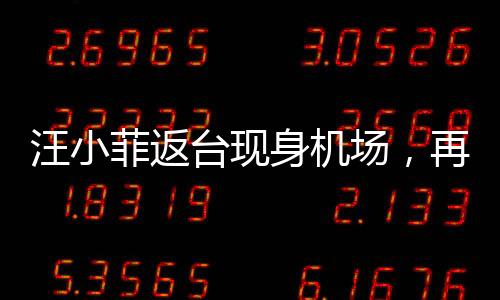 汪小菲返臺(tái)現(xiàn)身機(jī)場(chǎng)，再度回歸引發(fā)關(guān)注熱潮