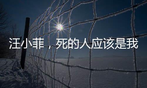 汪小菲，死的人應(yīng)該是我——深度解析背后的故事與情感糾葛
