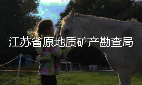 江蘇省原地質礦產勘查局巡視員施民接受審查調查