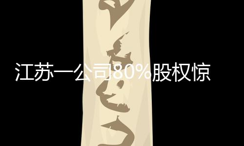 江蘇一公司80%股權(quán)驚現(xiàn)一元起拍，競(jìng)拍者成功拿下