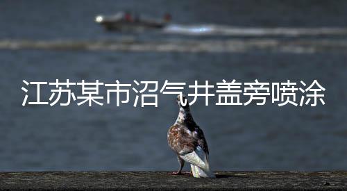 江蘇某市沼氣井蓋旁噴涂警示標(biāo)志，提升安全，減少風(fēng)險